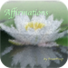 Affirmations - Anger Management