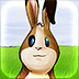 Bud The Bunny